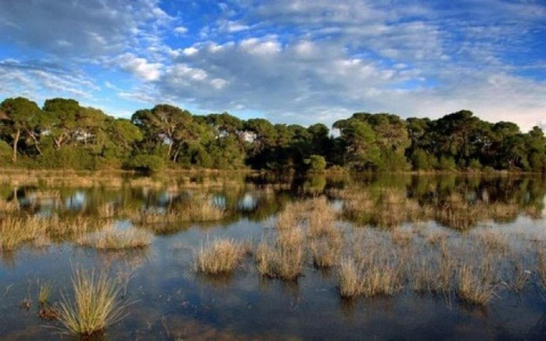 natura-696x435.jpg