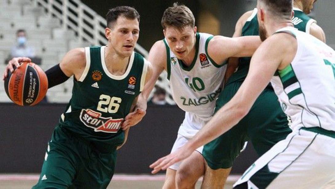 nedovic.jpg
