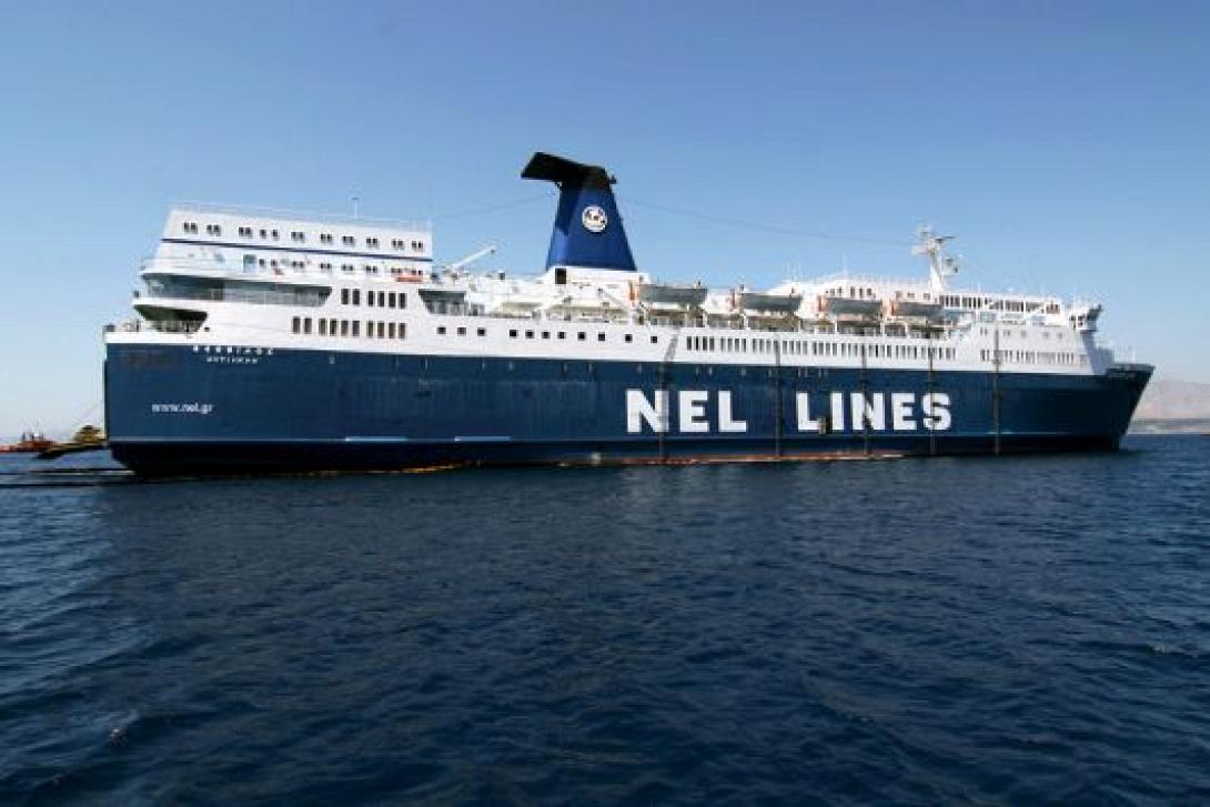 nel-lines_0.jpeg