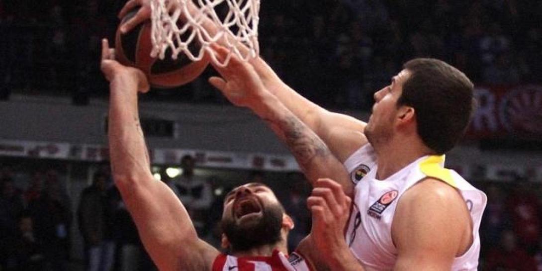 nemanja-bjelica2-fenerbahce-ulker-istanbul-eb14.jpg