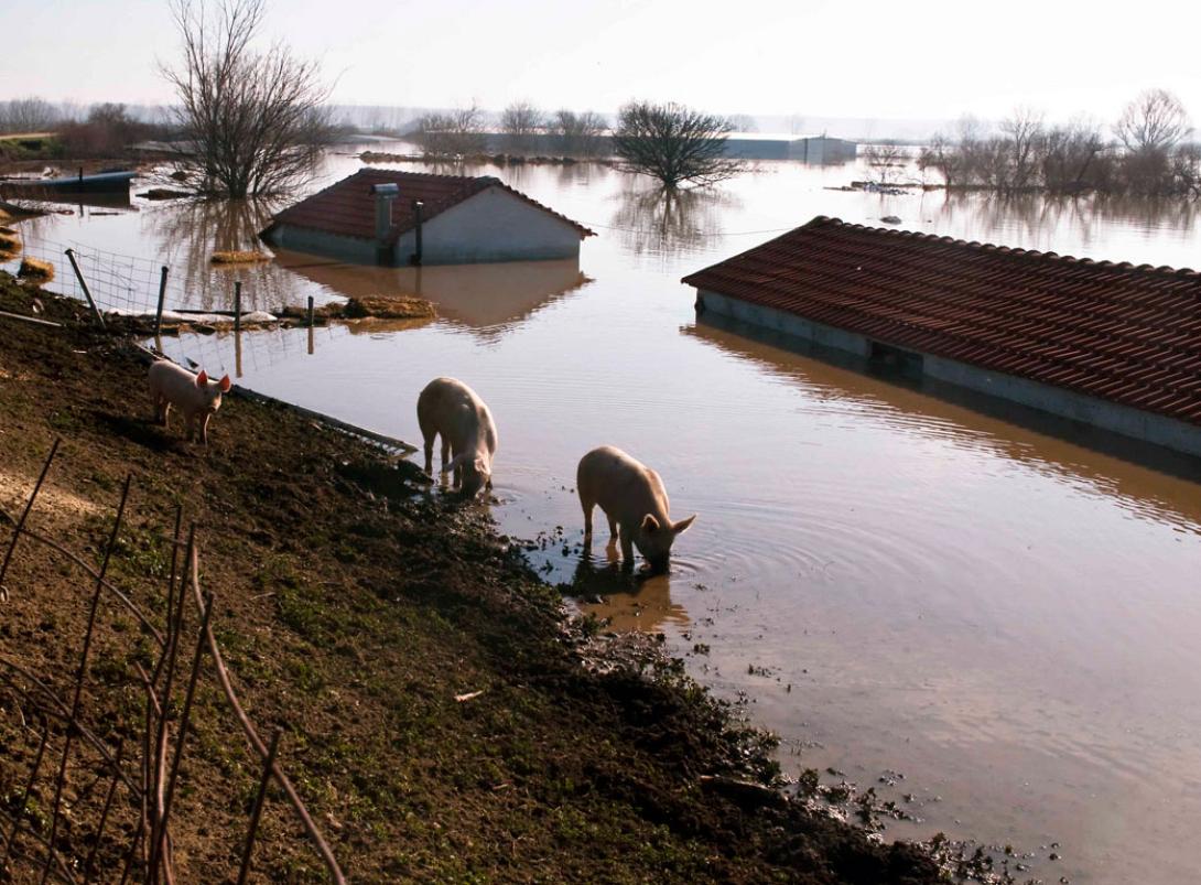 Υποχωρεί η στάθμη του Έβρου - Σε επιφυλακή παραμένουν οι αρχές