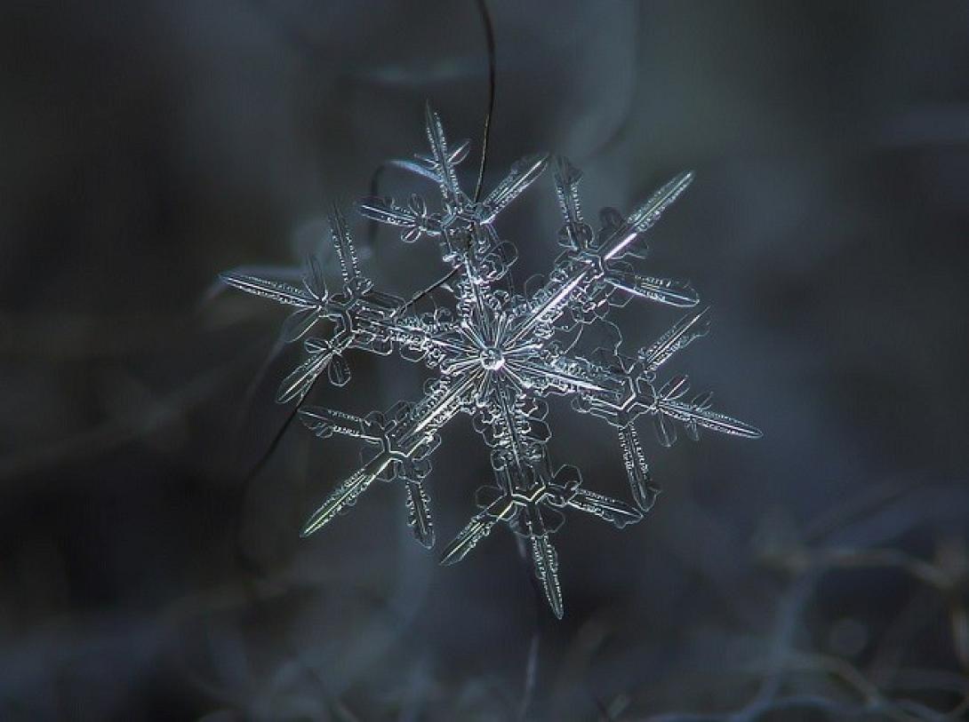 νιφάδα χιονιού