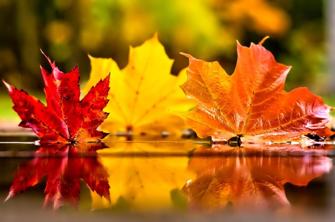 november