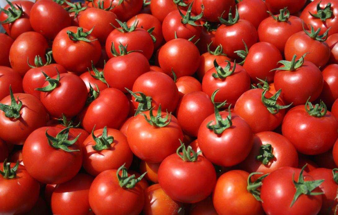 ntomates_2.jpg