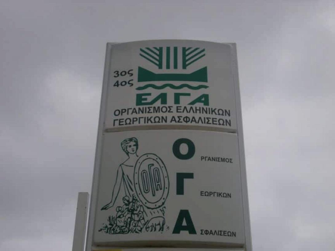 oga3.jpg