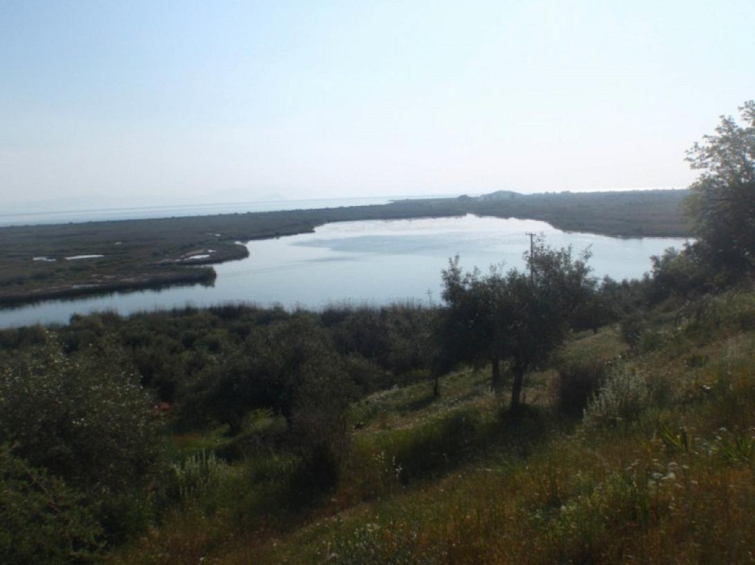 Ναρκωτικά, φάρμακα και συνθετικές ουσίες στο νερό - Τι συμβαίνει στο οικοσύστημα