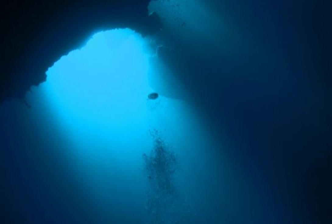 okeanos-600-x-406.jpg