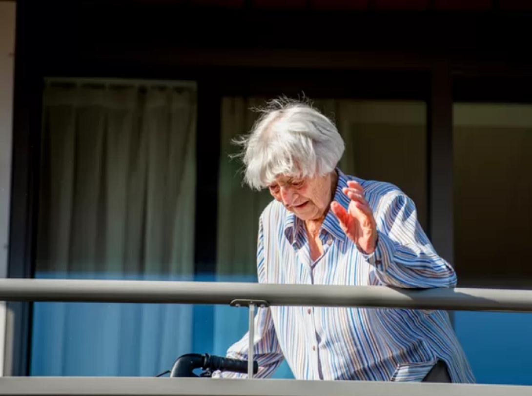 Ολλανδέζα υπεραιωνόβια (Φωτογραφία: Frank de Roo)