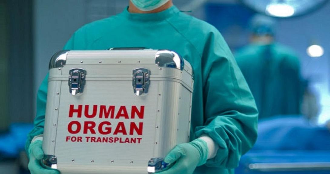 ανθρωπινα όργανα