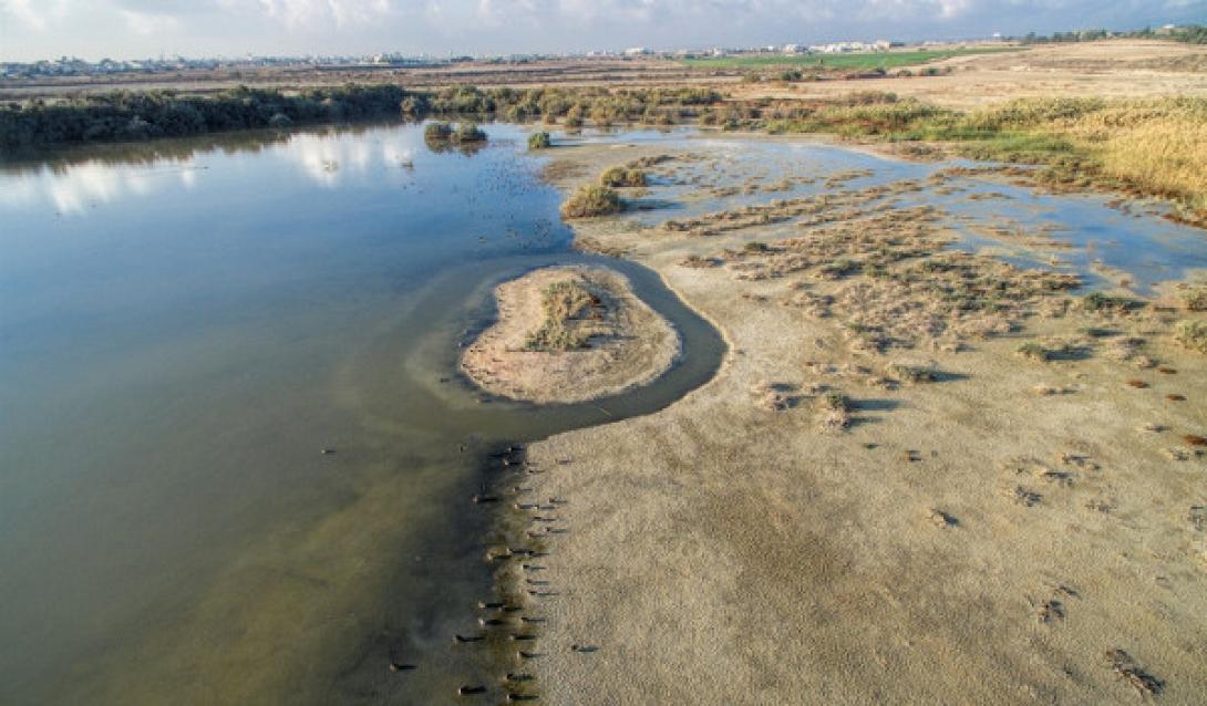 oroklini-lake-romos-kotsonis.jpg