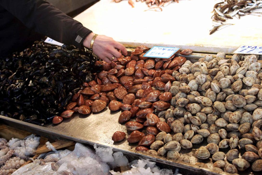 Λίγα τα φρέσκα θαλασσινά φέτος στο Ηράκλειο αλλά με σταθερές τιμές 