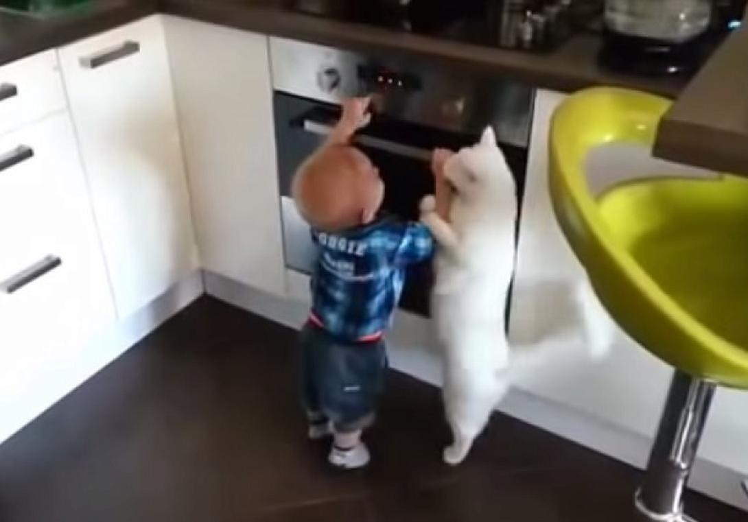 paidi_gata.jpg