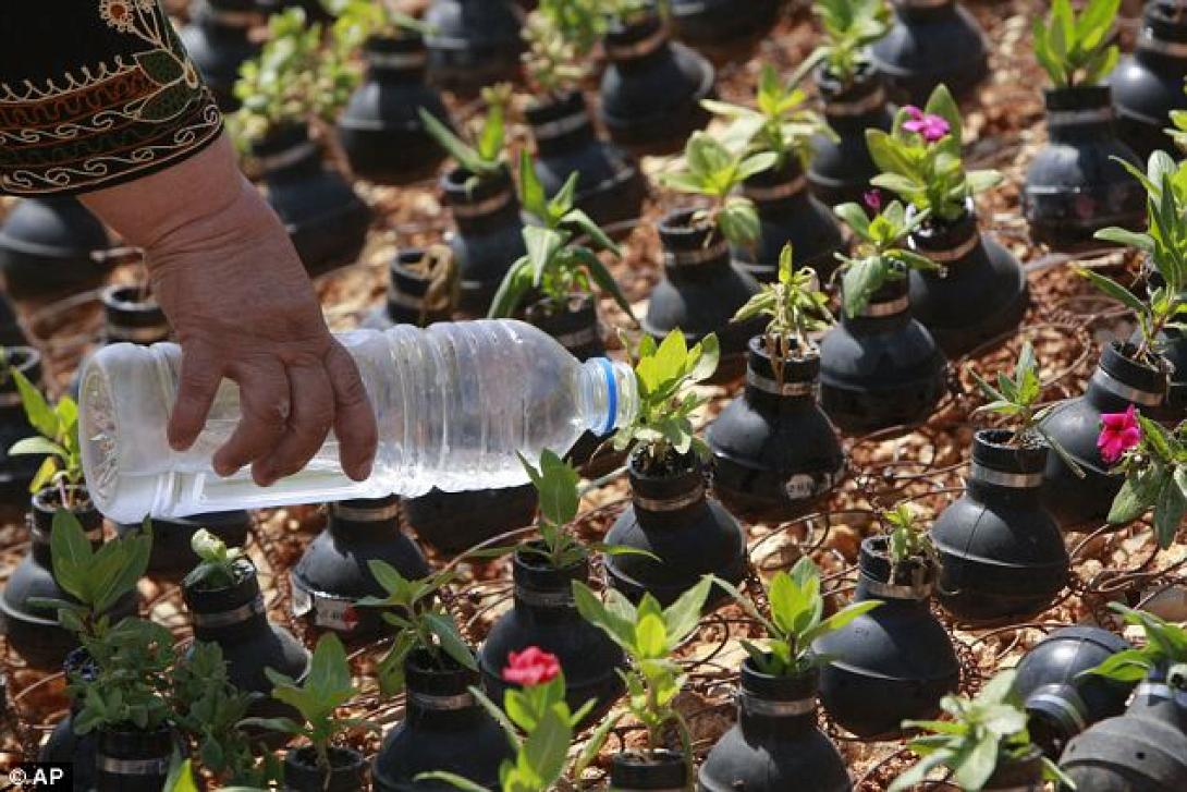 Στην Παλαιστίνη μετατρέπουν τα δοχεία δακρυγόνων σε γλαστράκια!
