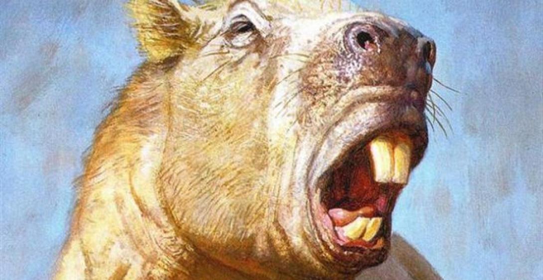 Μεγάλο σα... βούβαλος το μεγαλύτερο τρωκτικό που περπάτησε ποτέ στη Γη