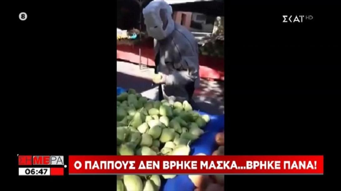 πάνα