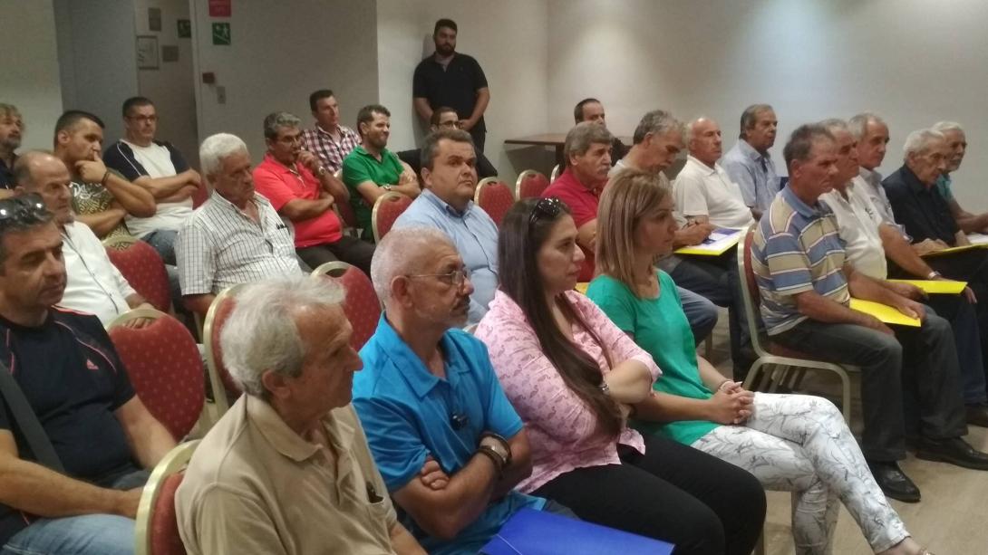 paratirites_epsi.jpg