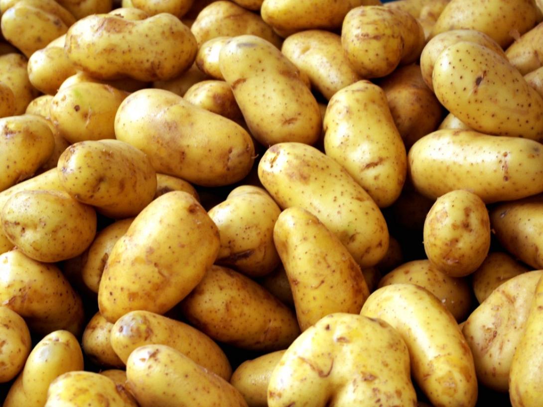 patata