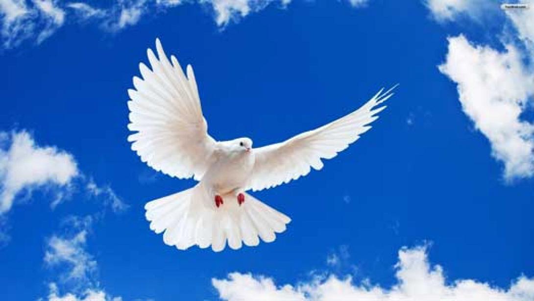 peace.jpg