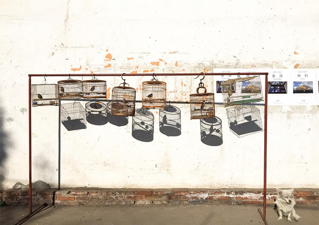 pelin_guven_turkey_bird_cages_travelling.jpg
