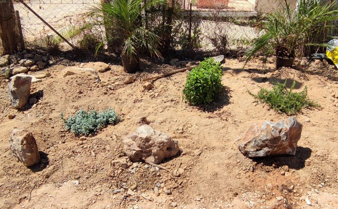 Δενδροφύτευση