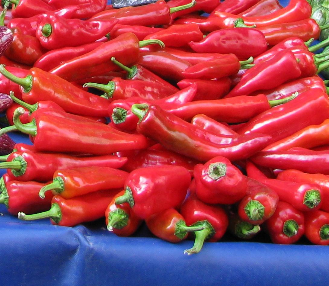 piperies-florinis.jpg