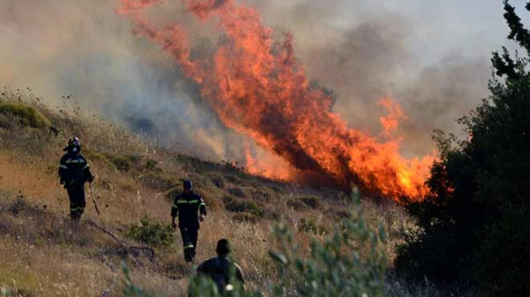 Τρίπολη: Ζητούν ρύθμιση των πυρόπληκτων δανείων και λιγότερους φόρους