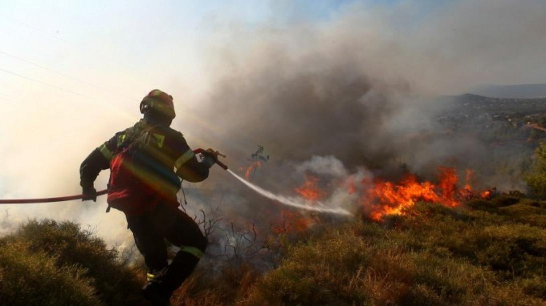 Υπό έλεγχο η φωτιά στη Δαμάστα - Νέο μέτωπο πυρκαγιάς στο Άδελε