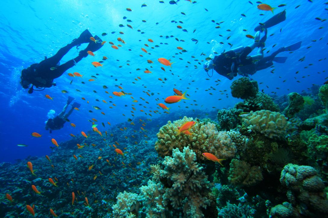 Scuba Diving στην Κρήτη - Bίντεο με εντυπωσιακά πλάνα