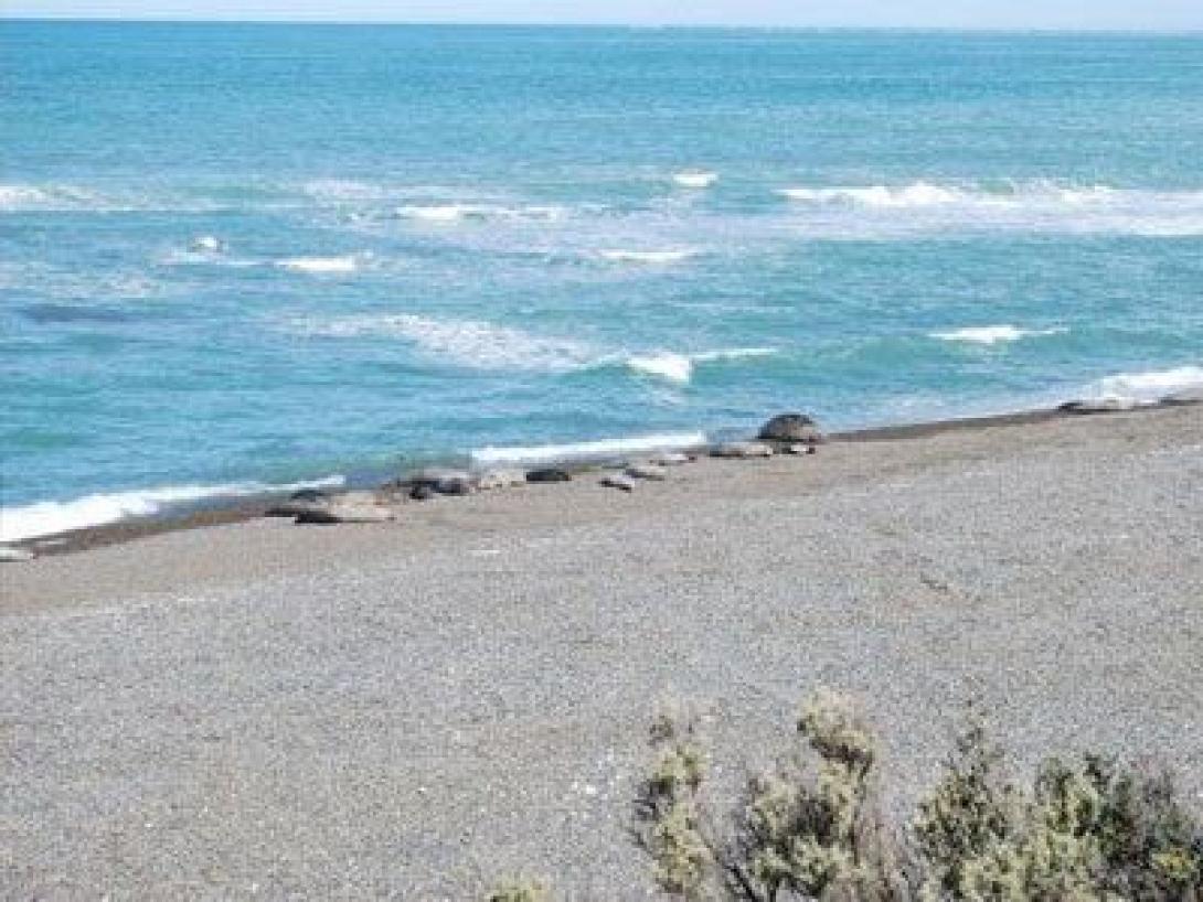 Ήρθαν στη Κρήτη για διακοπές και είδε τον αγαπημένο της να πεθαίνει ...