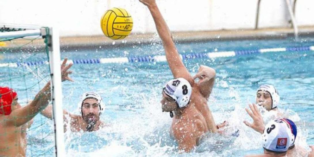 polo-ofi.jpg
