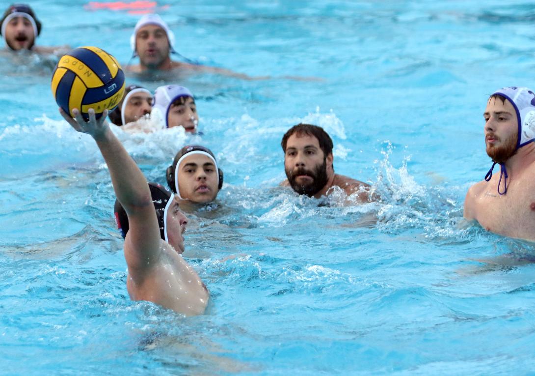 polo_.ofi.jpg
