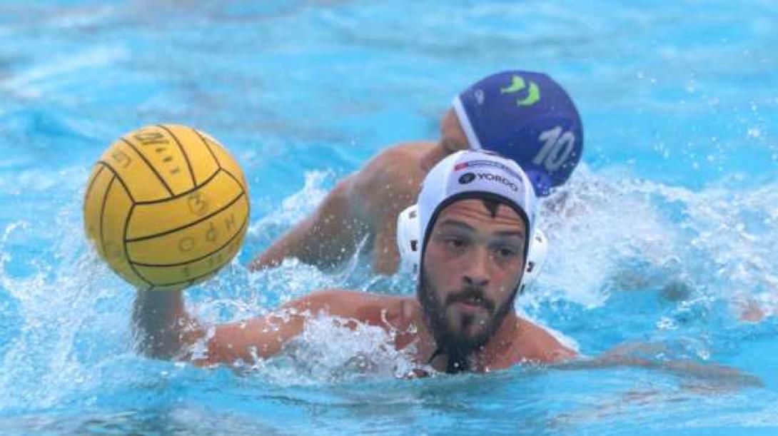 polo.jpg
