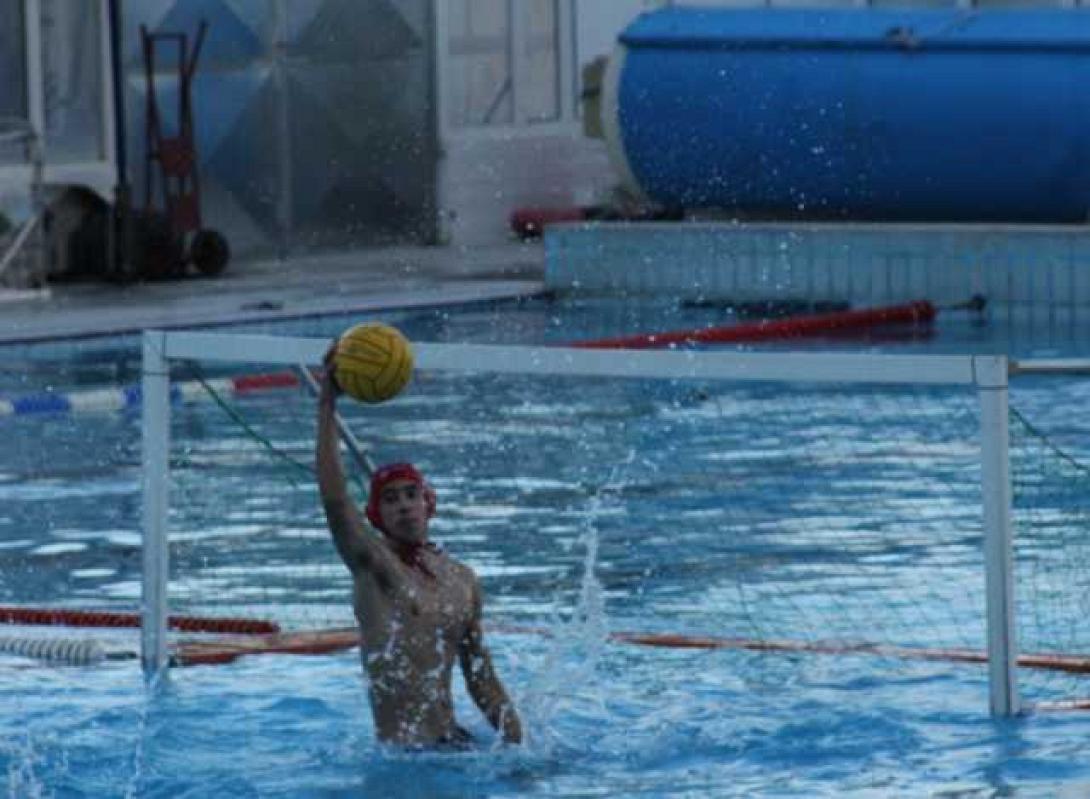 polo.jpg