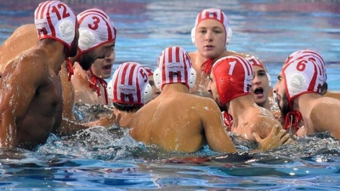polooly.jpeg