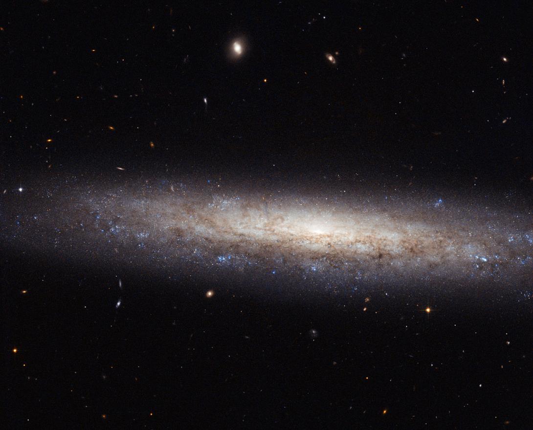 potw1440a.jpg