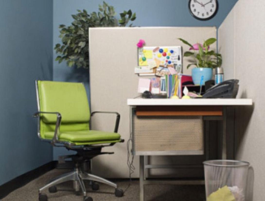 Τα φυτά στο γραφείο αυξάνουν την παραγωγικότητα των εργαζομένων