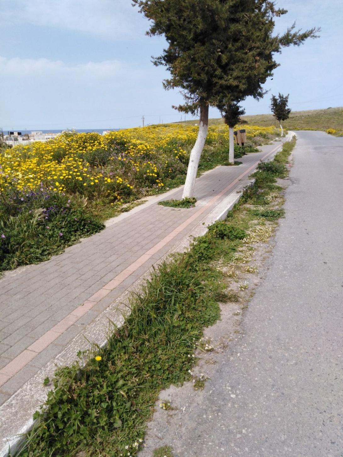 πρασινο