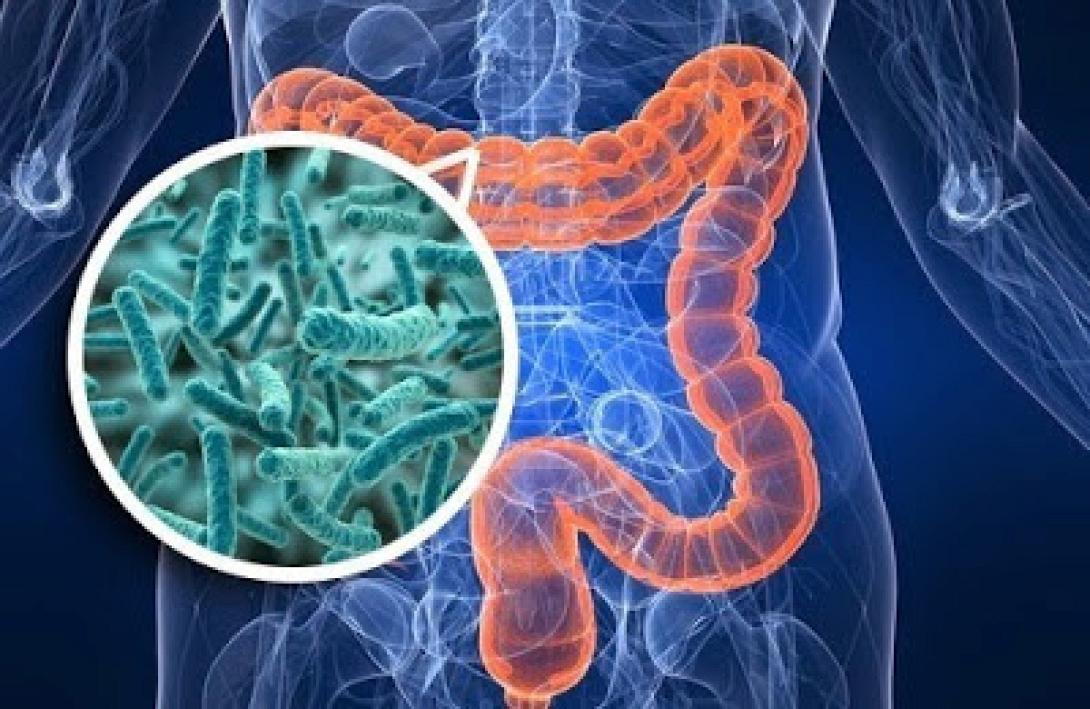 probiotics5.jpg