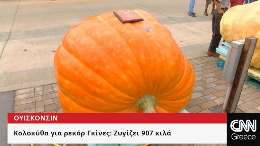 κολοκύθα