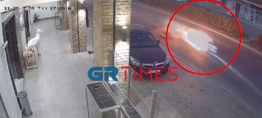 τροχαιο Διαβατά