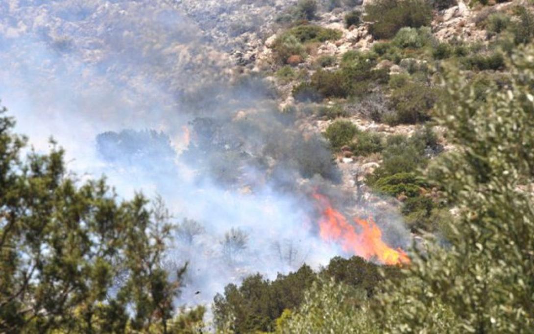 πυρκαγια, φωτια, δασος