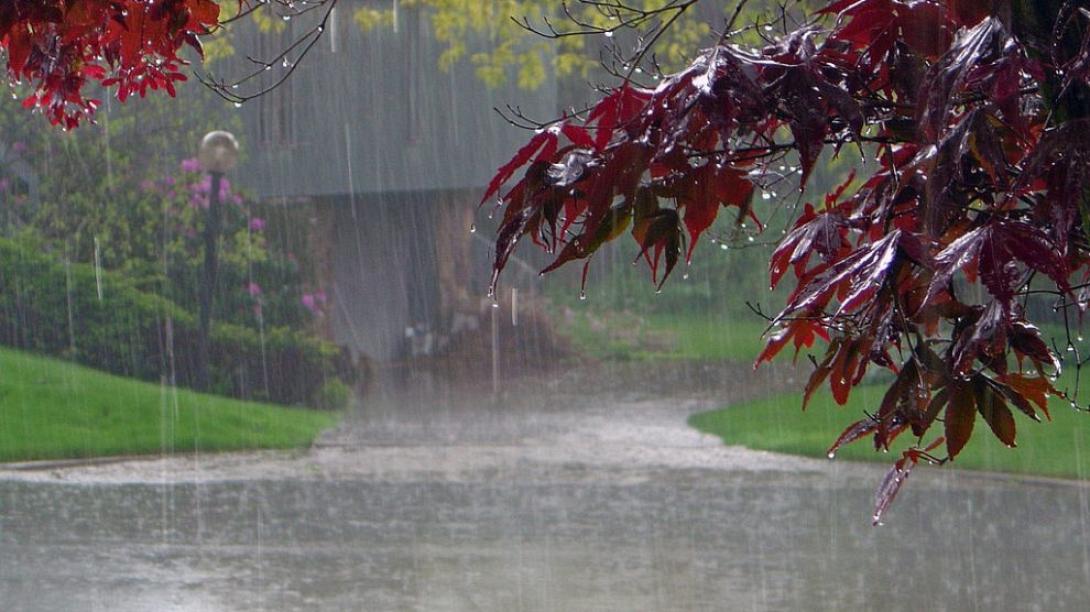 rainy-day-990x556.jpg