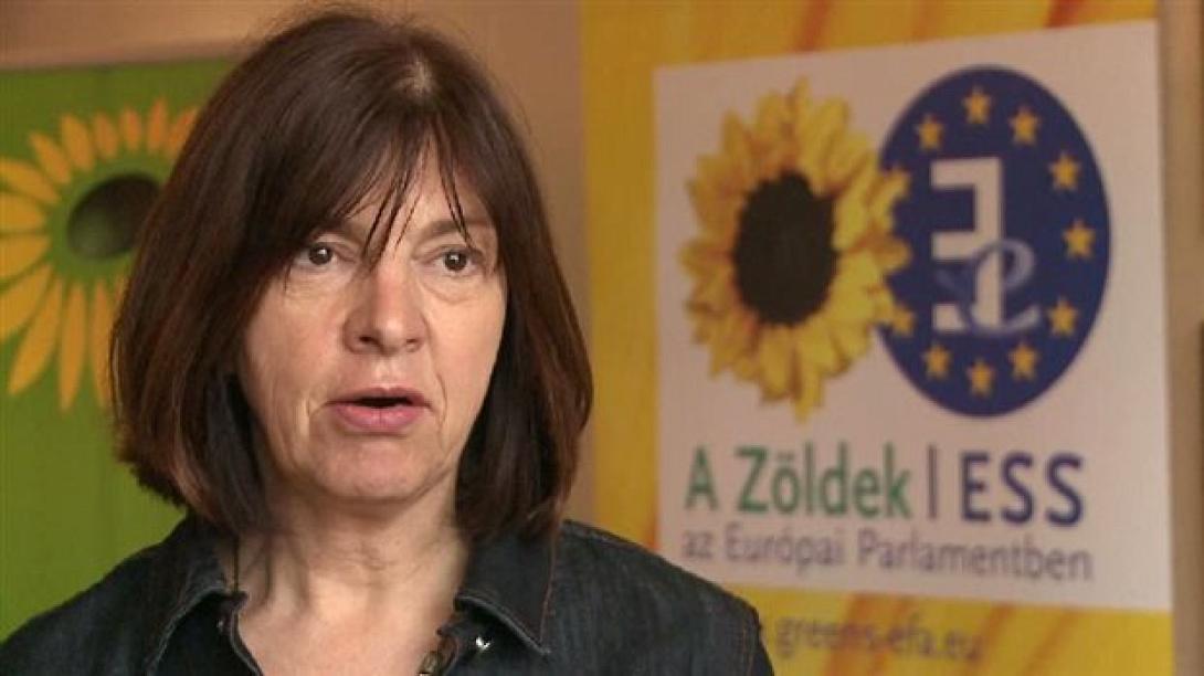 Ευρωπαίοι Πράσινοι: &quot;Όχι σε βοήθεια στην Ελλάδα, χωρίς όρους&quot;