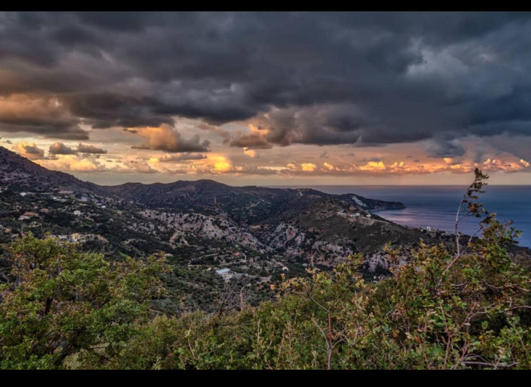 Ρογδιά