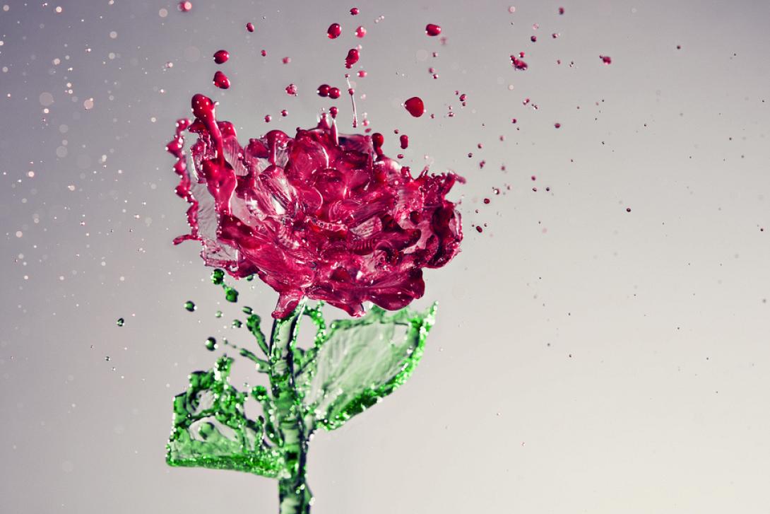 rose-11.jpg