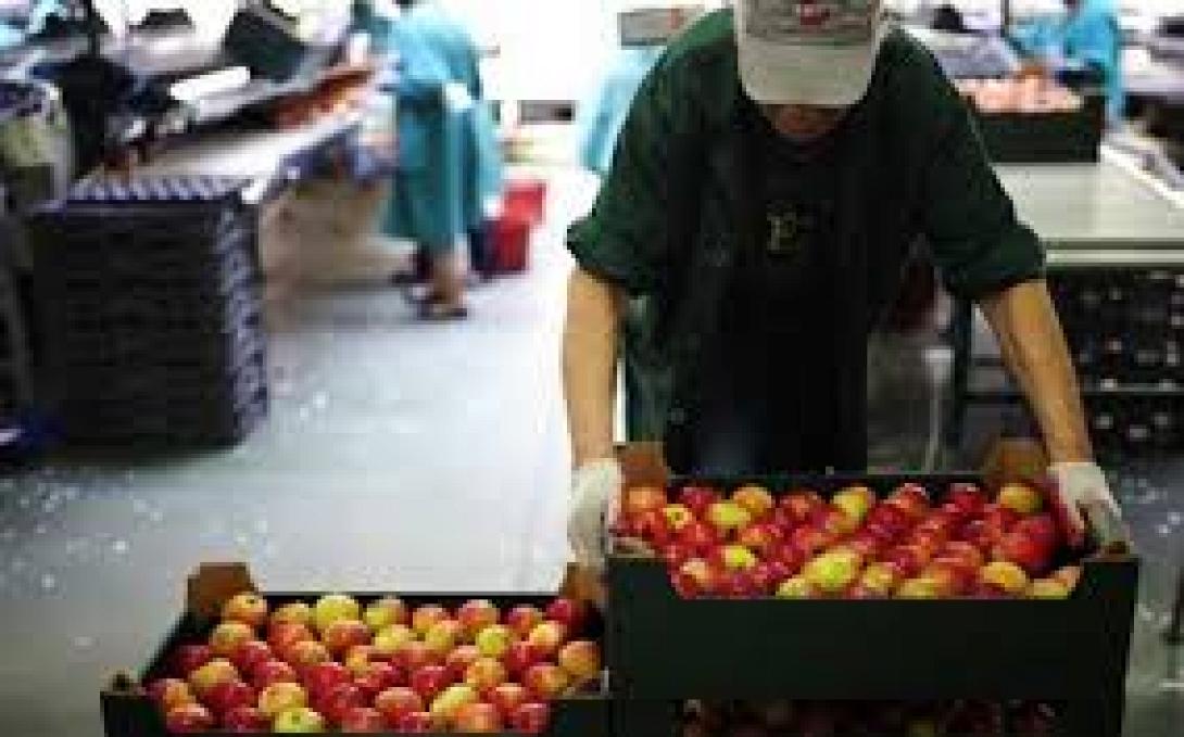 Αίρεται το ρωσικό εμπάργκο για ορισμένα τρόφιμα από δυτικές χώρες