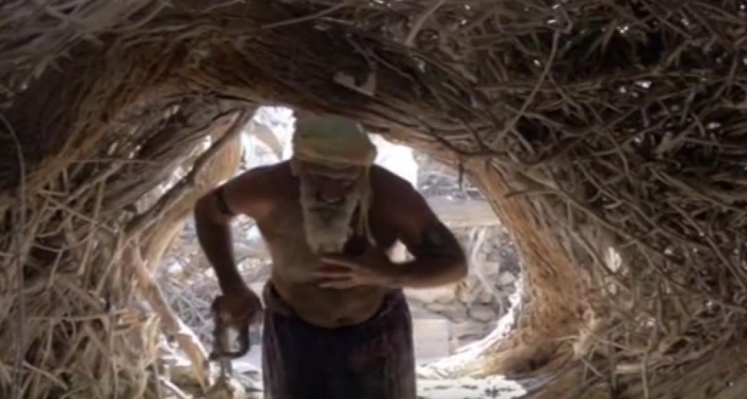 ροβινσωνας