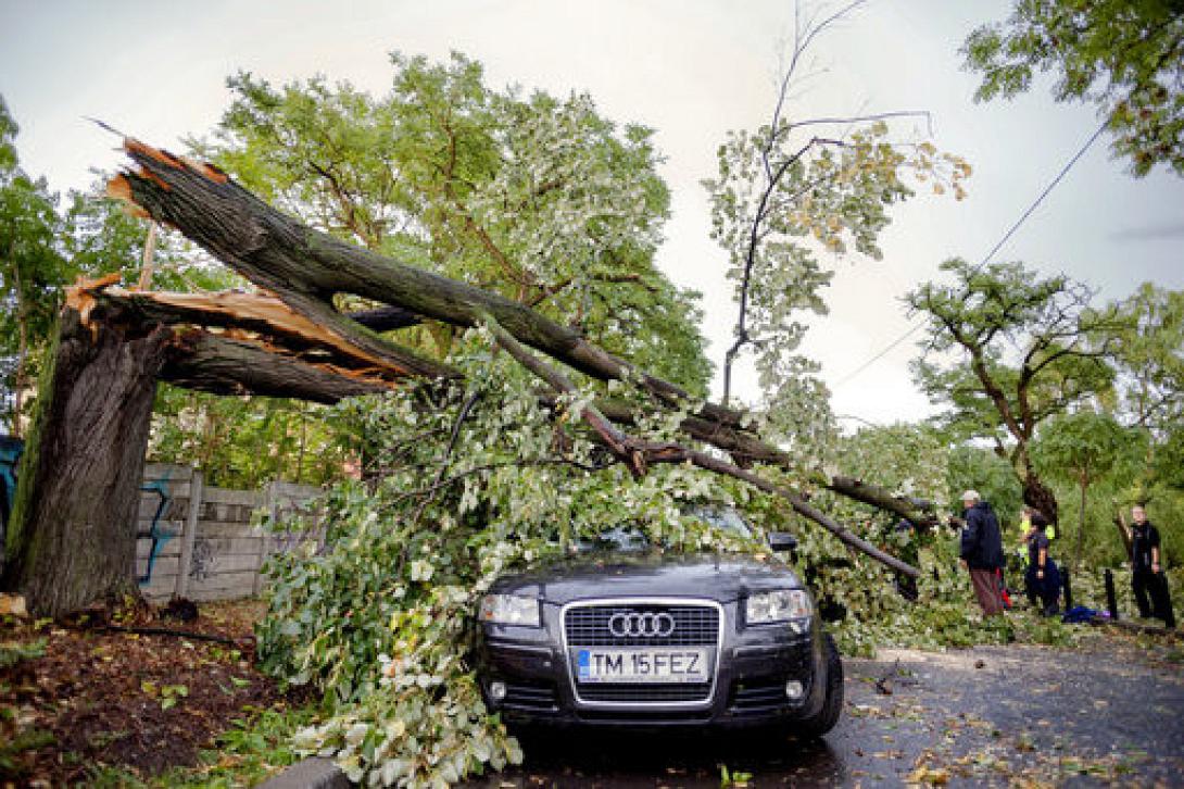 Ρουμανια νεκροι