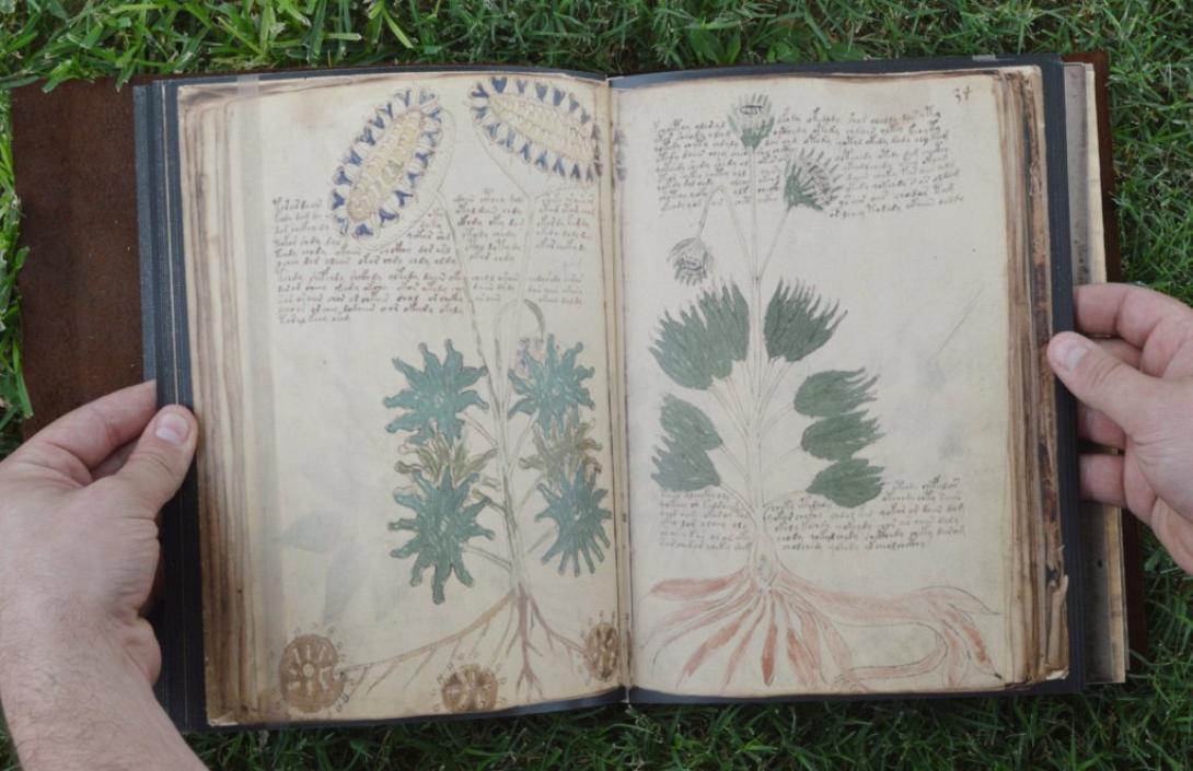 Χειρόγραφο Βόινιτς