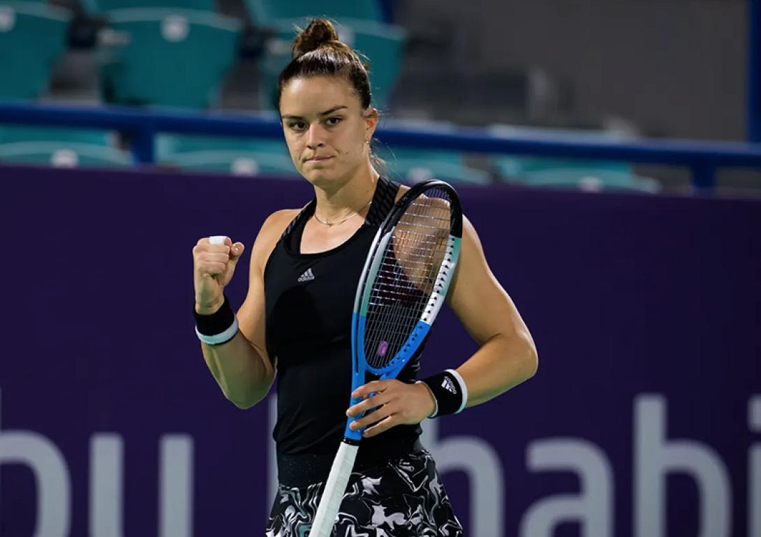 sakkari.png